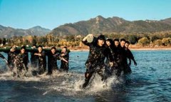 保鏢風(fēng)險(xiǎn)評(píng)估（保鏢公司風(fēng)險(xiǎn)評(píng)估過程的重點(diǎn)問題）